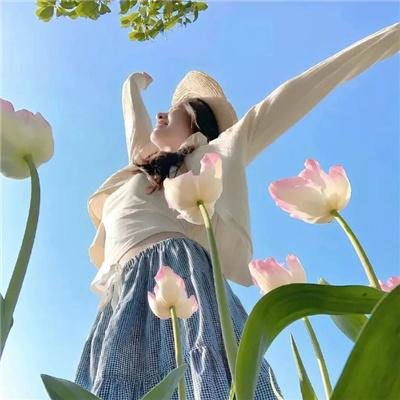 木材宝藏狗